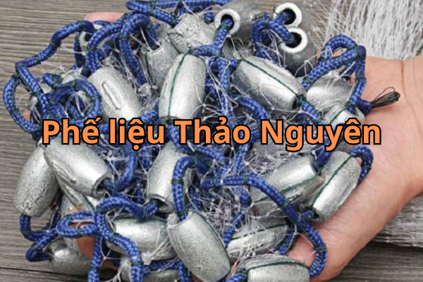 phe lieu Chi 2