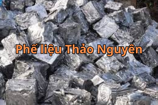 phe lieu Chi 3