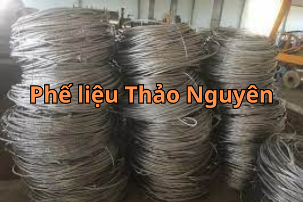 phe lieu kem 7