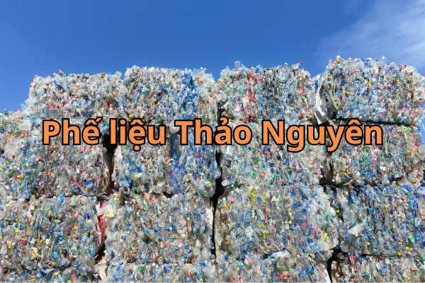 thu mua phe lieu gia cao tai phu tho