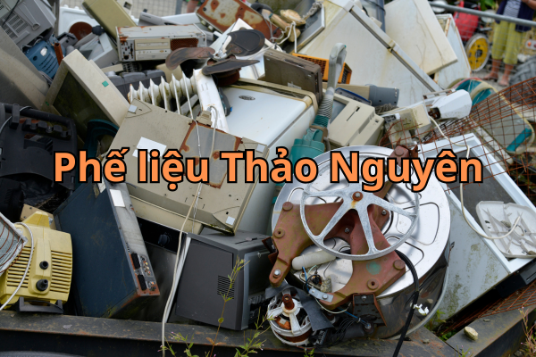 phe lieu dien tu 4