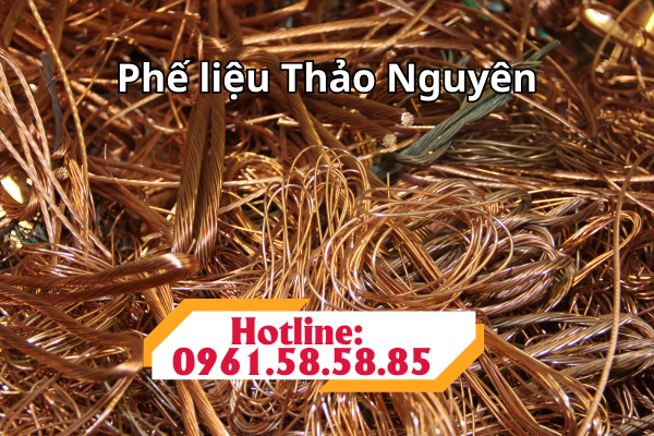 THU MUA PHẾ LIỆU ĐỒNG GIÁ CAO TẠI NINH BÌNH thu mua phế liệu đồng giá cao tại Ninh Bình