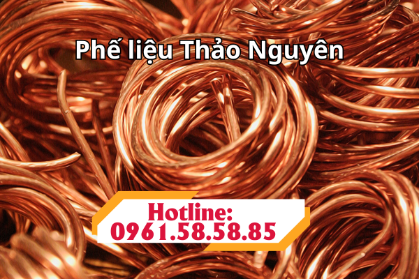 THU MUA PHẾ LIỆU ĐỒNG GIÁ CAO TẠI NINH BÌNH thu mua phế liệu đồng giá cao tại Ninh Bình