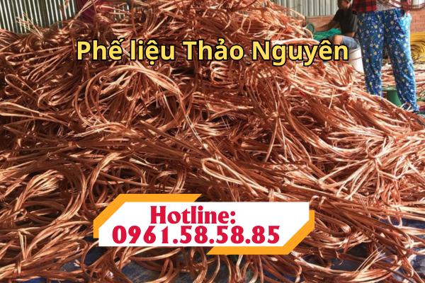 THU MUA PHẾ LIỆU ĐỒNG GIÁ CAO TẠI HƯNG YÊN thu mua phế liệu đồng giá cao tại Hưng Yên