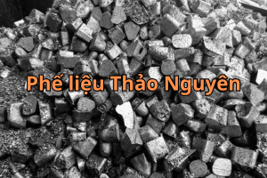 phe lieu Chi 1
