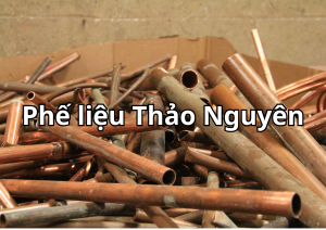 phe lieu dong 1