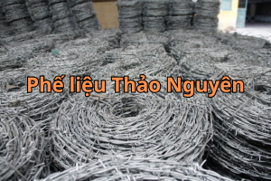 phe lieu kem 10