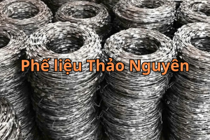 phe lieu kem 6