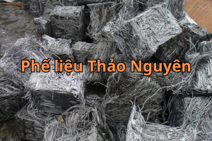 phe lieu kem 9