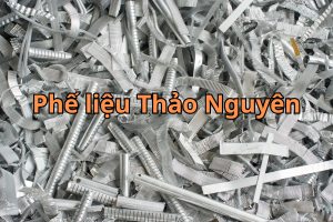 phe lieu nhom 9