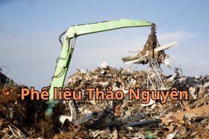 phe lieu dien tu 10