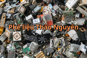 phe lieu dien tu