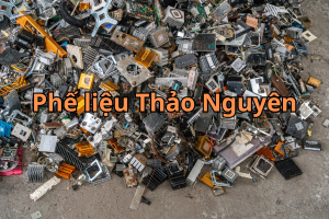 phe lieu dien tu 5