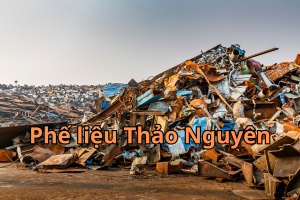 phe lieu dien tu 7