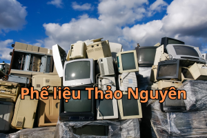 phe lieu dien tu 9