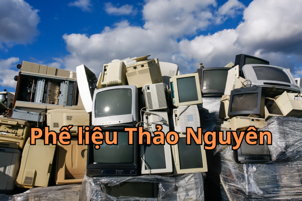 phe lieu dien tu 9