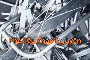 phe lieu nhom 1