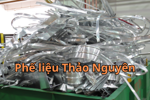 phe lieu nhom 2