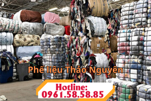 THU MUA VẢI CÂY GIÁ CAO 12