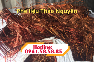 phe lieu thao nguyen nhom 1