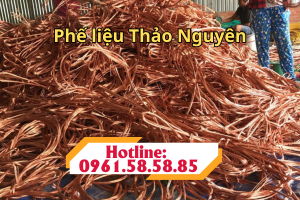 phe lieu thao nguyen nhom 2