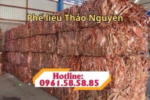 phe lieu thao nguyen nhom 3
