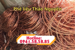 phe lieu thao nguyen nhom