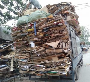 Thh mua giay vun phe lieu gia cao 3