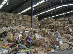 thu mua giay vun gia cao