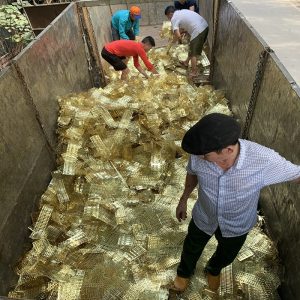 thu mua phe lieu dong 2