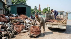 thu mua phe lieu dong gia cao
