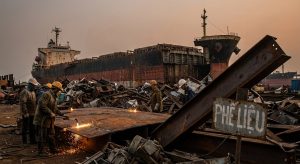 gia tri phe lieu cua tau