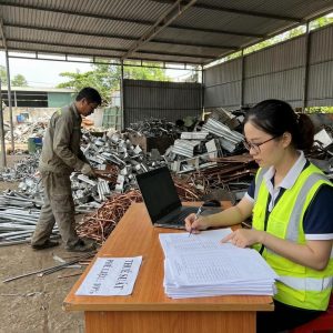 phe lieu thue suat bao nhieu va giai phap ke khai dung 1774096325752